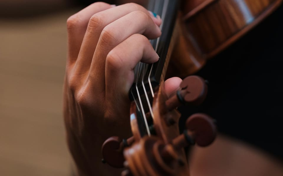 A violinist's hand on the strings